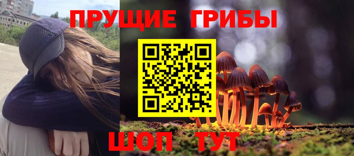 где купить   Псилоцибиновые грибы мицелий  Псилоцибиновые грибы Magic Shrooms  Вход с VPN  Качканар 